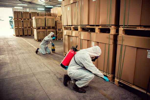 Best Wildlife Control Services  in Belle, MO