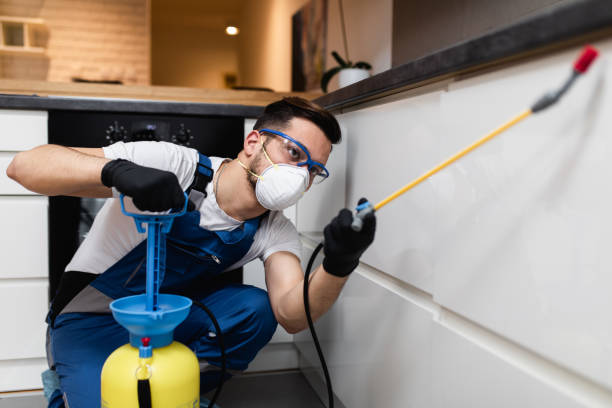 Best Exterminator Services  in Belle, MO