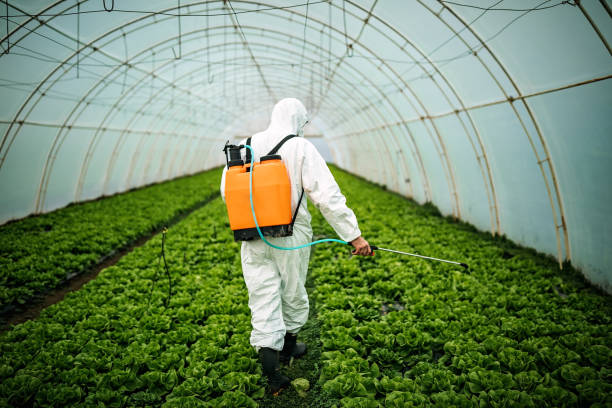 Best Best Pest Control Companies  in Belle, MO