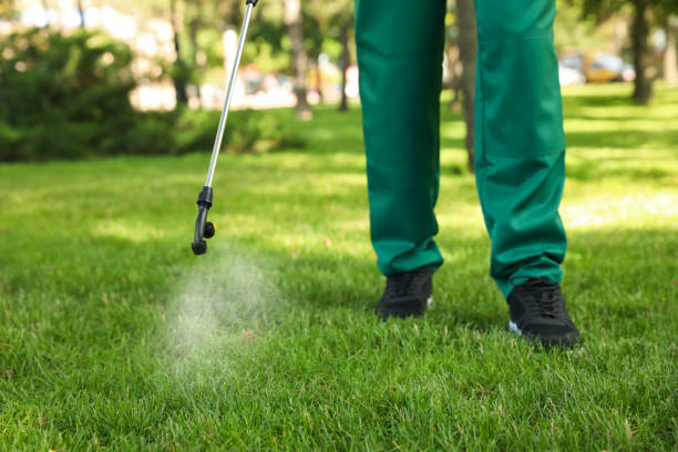 Pest Prevention Services in Belle, MO
