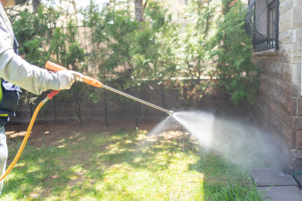 Best Pest Removal Services  in Belle, MO